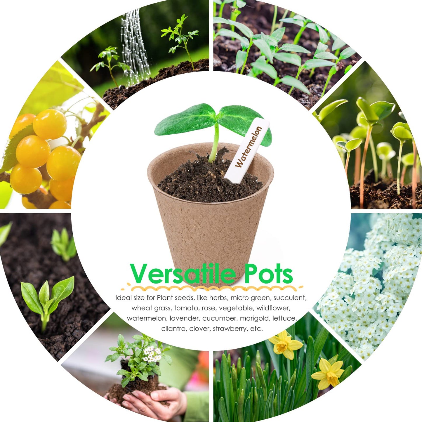 NuCandle 3” Peat Pots Seedling Pots Plant Starters Bulk 100 Pack Seed Starter Pots Biodegradable Plant Cups with Labels, Mini Seedling Tools for Garden Germination Nursery Pot