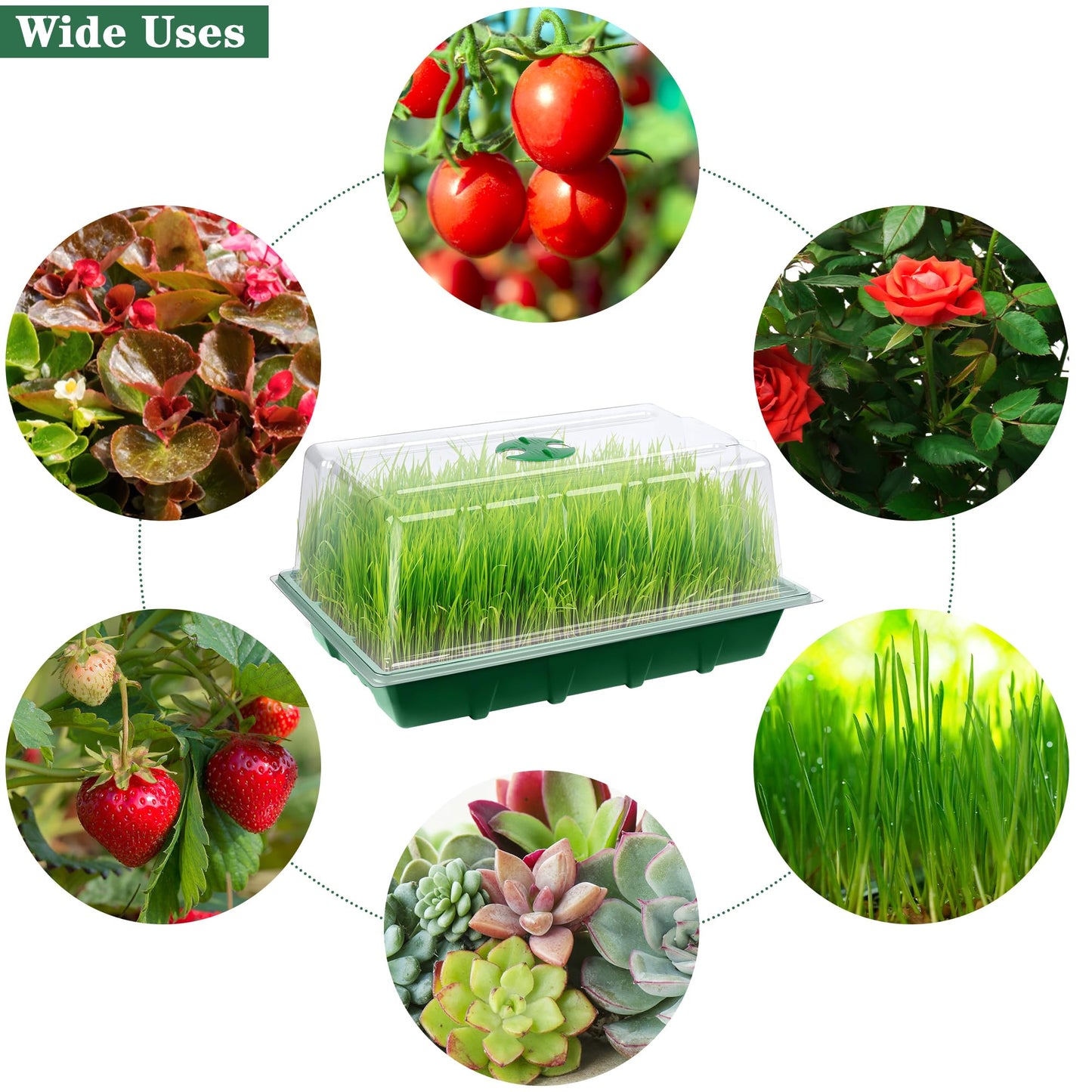 Hahood 6 Packs Seed Starter Tray Kits with Humidity Dome, Plastic Germination Growing Trays with Plants Labels Planting Tools for Seeds Growing Starting, Germination Seedling Propagation, Green