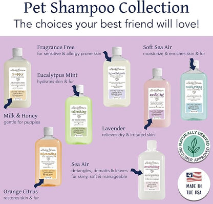 Bobbi Panter Soothing Dog Shampoo Tea Tree, Lavender, Cucumber & Oat Protein – Natural Formula for Sensitive Skin & Irritation Relief, Tear-Free, 30:1 Concentrate, Made in USA, 14 oz