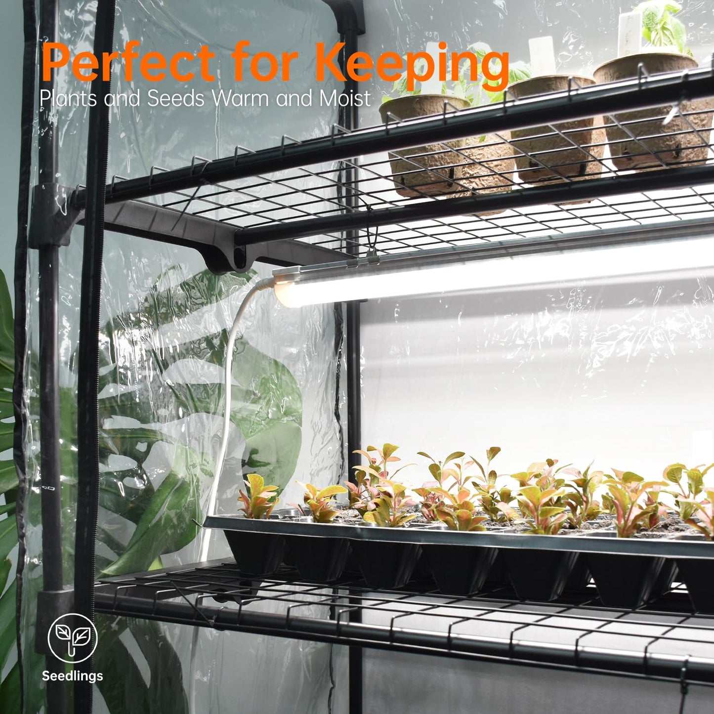Bstrip Indoor Greenhouse with Grow Light, Mini Green House with 4 Pack 20W Full Spectrum Plant Lights with Timer, Plant Shelf with Tent for Indoor Plant, Seed Starting, Seed Tray, 27.2"x19.9"x61.8"