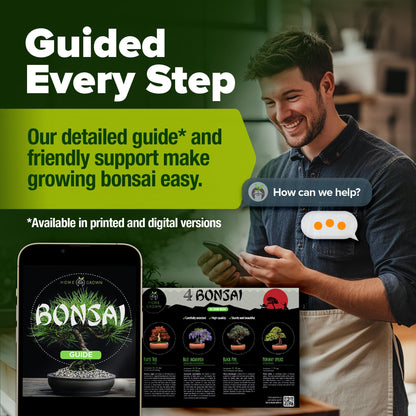 Bonsai Tree Kit Gifts for Men & Women - Grow 4 Bonsai Trees - Unique Gardening Crafts for Adults, DIY Hobbies for Plant Lovers & Gardeners - Unusual Christmas Gift Ideas for Mom & Dad