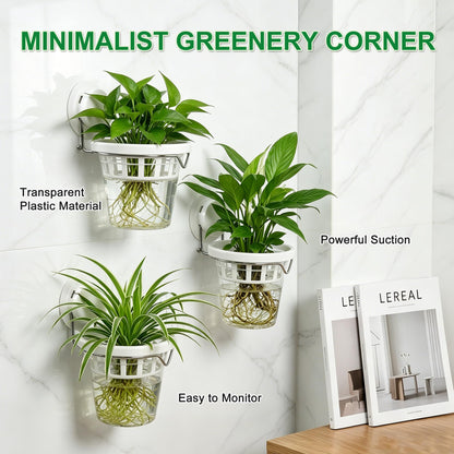 6 Pcs Window Propagation Stations Plastic Wall Hanging Planter with Suction Cup Holder Window Mounted Plant for Hydroponics Plants, Home, Office, Bathroom, Living Room Decor and Any Smooth Surface
