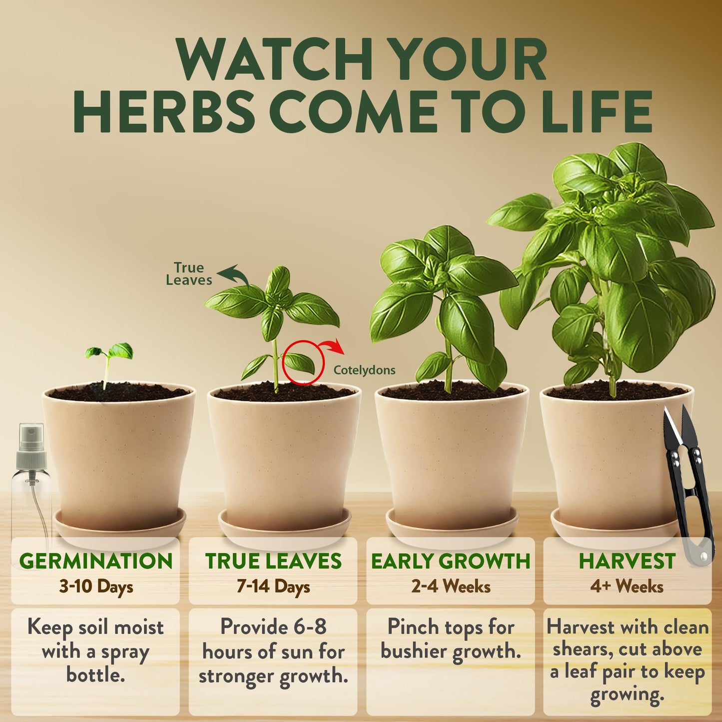 HOME GROWN Herb Garden Planter Indoor Kit – Unique Christmas Gift for Adults, Men, & Women - Grow 4 Heirloom Herb Seeds on Kitchen Window – Beginner DIY Craft & Hobby Gardening Gift for Plant Lovers
