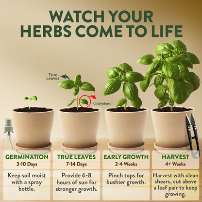 HOME GROWN Herb Garden Planter Indoor Kit – Unique Christmas Gift for Adults, Men, & Women - Grow 4 Heirloom Herb Seeds on Kitchen Window – Beginner DIY Craft & Hobby Gardening Gift for Plant Lovers