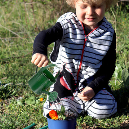6PCS Kids Metal Watering Can Indoor Plants Small Watering Can for Indoor Plants Mini Gardening Tool Tiny Kettle for Gardening