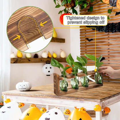 CYZglass Plant Propagation Stations Halloween Skull Plant Terrarium Kit Glass Vases Gift for Father Air Planter Home Office Decor