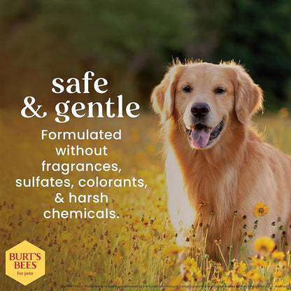 Burt's Bees for Pets Oatmeal Dog Shampoo with Honey, Soothing Formula for Itchy and Sensitive Dog Skin, Colloidal Oat Flour and Honey, pH Balanced, Sulfate-Free, 16 Fl Oz - 2 Pack