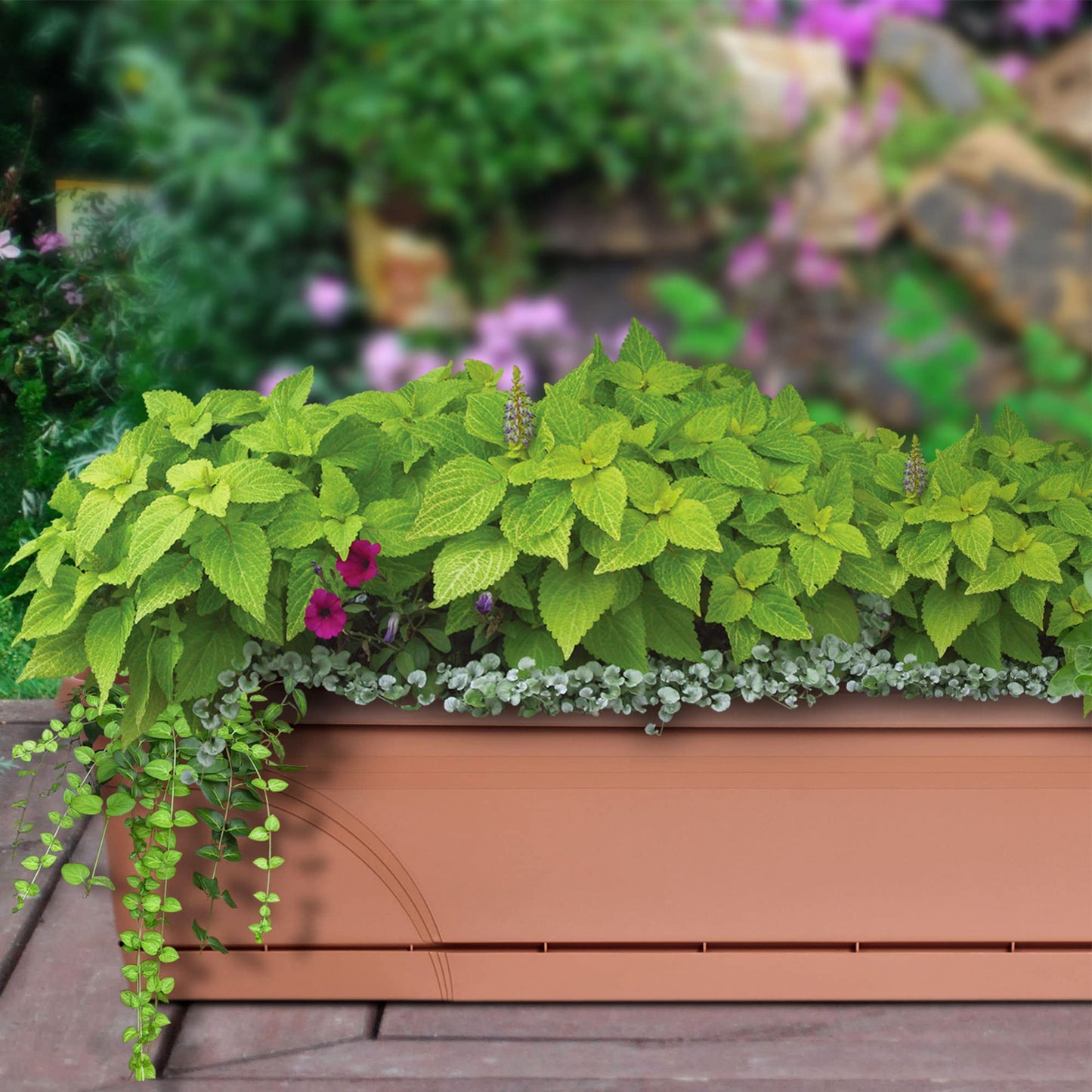 Southern Patio 36 in Medallion Hanging Windowsill Garden Box Planter, Terracotta