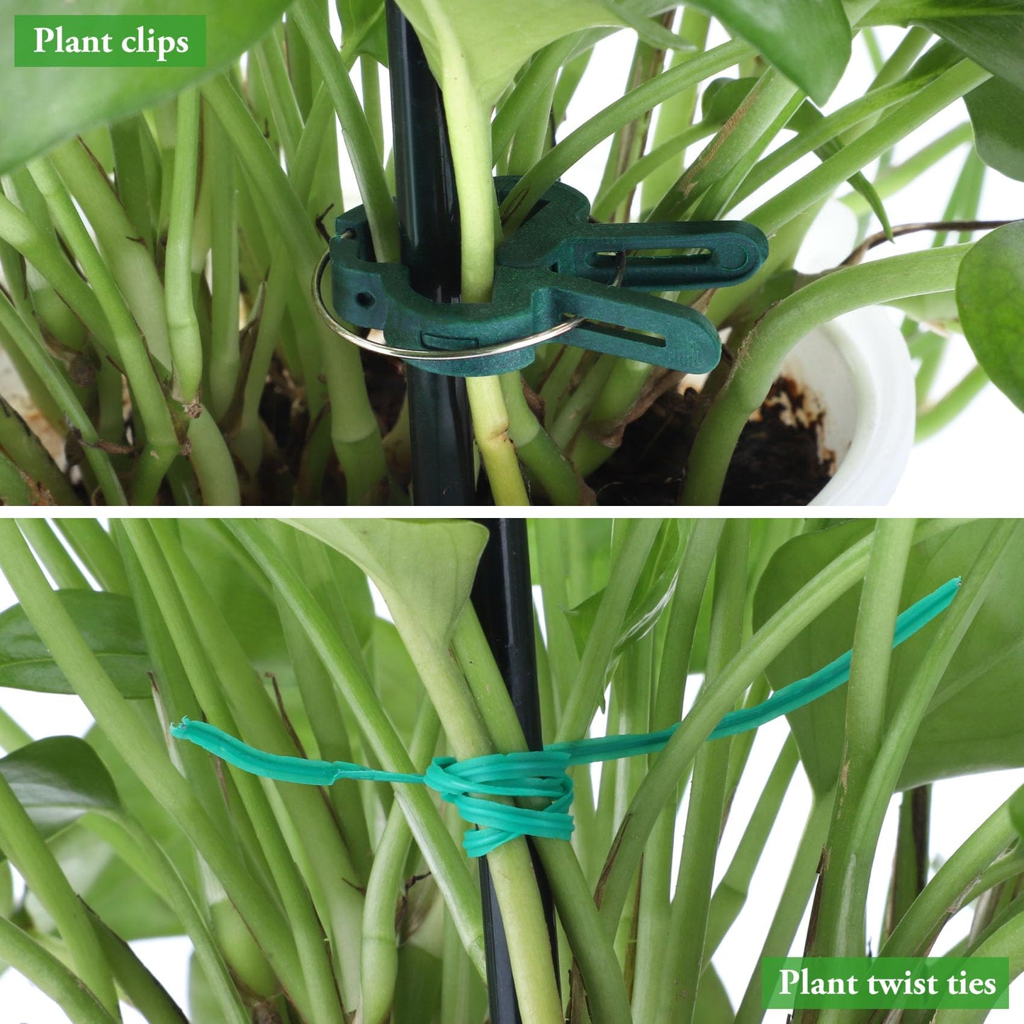 Unves 6 Pack Peony Cage, 32" H x 13" W Half Round Ring Metal Plant Support Stakes, Heavy Duty Peony Cages and Supports for Indoor Outdoor Plants, Vegetables and Flowers with Clips, Ties and Gloves