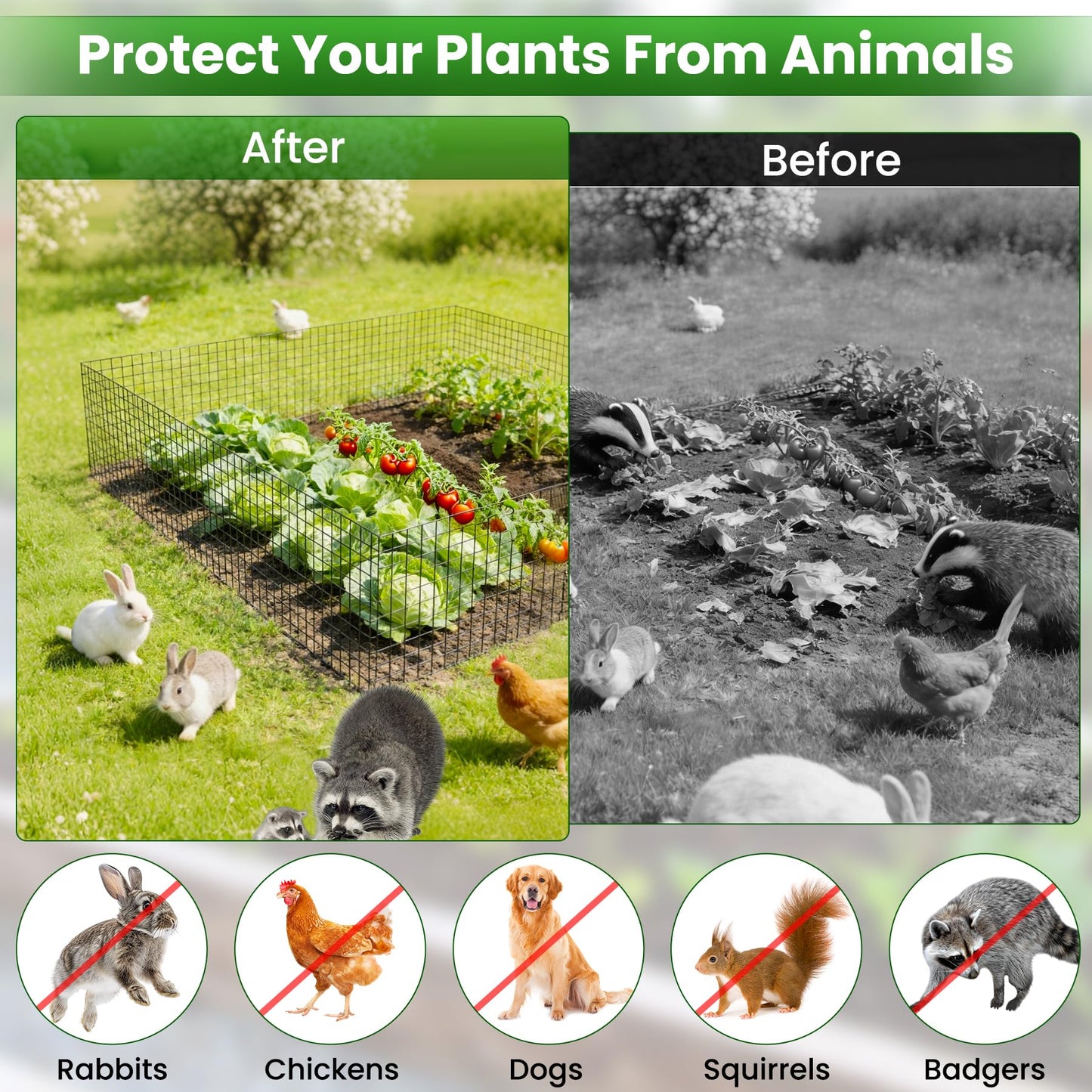 Nexum 45Pcs Plant Protectors from Animals – 16" x 12" Metal Tree Trunk Guards, Garden Plant Cloches & Expandable Plant Cages to Protect from Deer, Rabbits & Lawn
