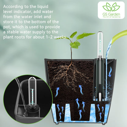 GS Garden Self Watering Planters for Indoor Plants, 5.2 Inch 3 Pack Square Plastic Plant Pots with Water Level Indicator & Drainage System for African Violet Herbs Succulents - Gery