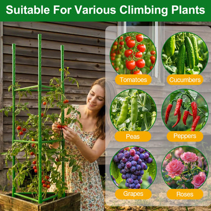 WAENLIR 6 Pack Tomato Cages for Garden, Up to 51 Inch Tomato Trellis for Raised Garden Bed, Plant Stakes for Pots, Durable Tomato Plant Support Garden Stakes for Climbing Plants