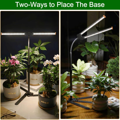 Wotime Grow Light for Indoor Plants,6000K White Sun Spectrum Growing Light Lamp with Red Blue LED for Pot Succulents Seeds, Light Strip Foldable & Height Extendable 9-25'', Auto Timer 4 8 12Hrs