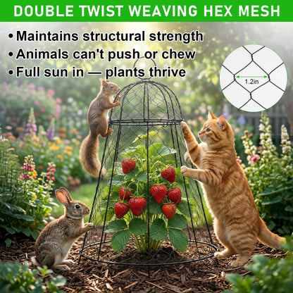 Garden Cloches for Plants 6 Pack - Chicken Wire Outdoor Plant Protectors from Animals - Heavy-Duty Metal Cage with Detachable Lid - Rustproof Covers - 12"D × 17"H - Blocks Rabbits, Squirrels & Birds