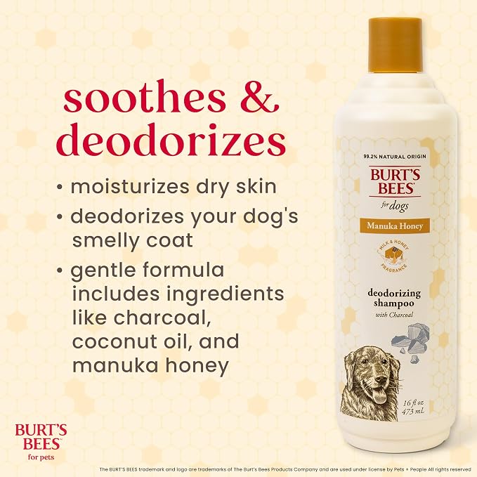 Burt's Bees for Pets Deodorizing Shampoo for Dogs, Manuka Honey & Charcoal, Reduces Odor, 95%+ Natural Origin, No Sulfates, Parabens or Phthalates, Leaves Milk & Honey Scent, 16 Fl Oz