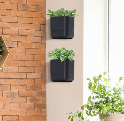 Phoenix Vine 6.5 Inch Wall Mounted Self-Watering Planter Pot for Indoor Houseplants and Herbs | Hanging Planter for Window Sills, Bathroom Walls, Home & Office Décor, Black, Set of 3, 01-C-E-3