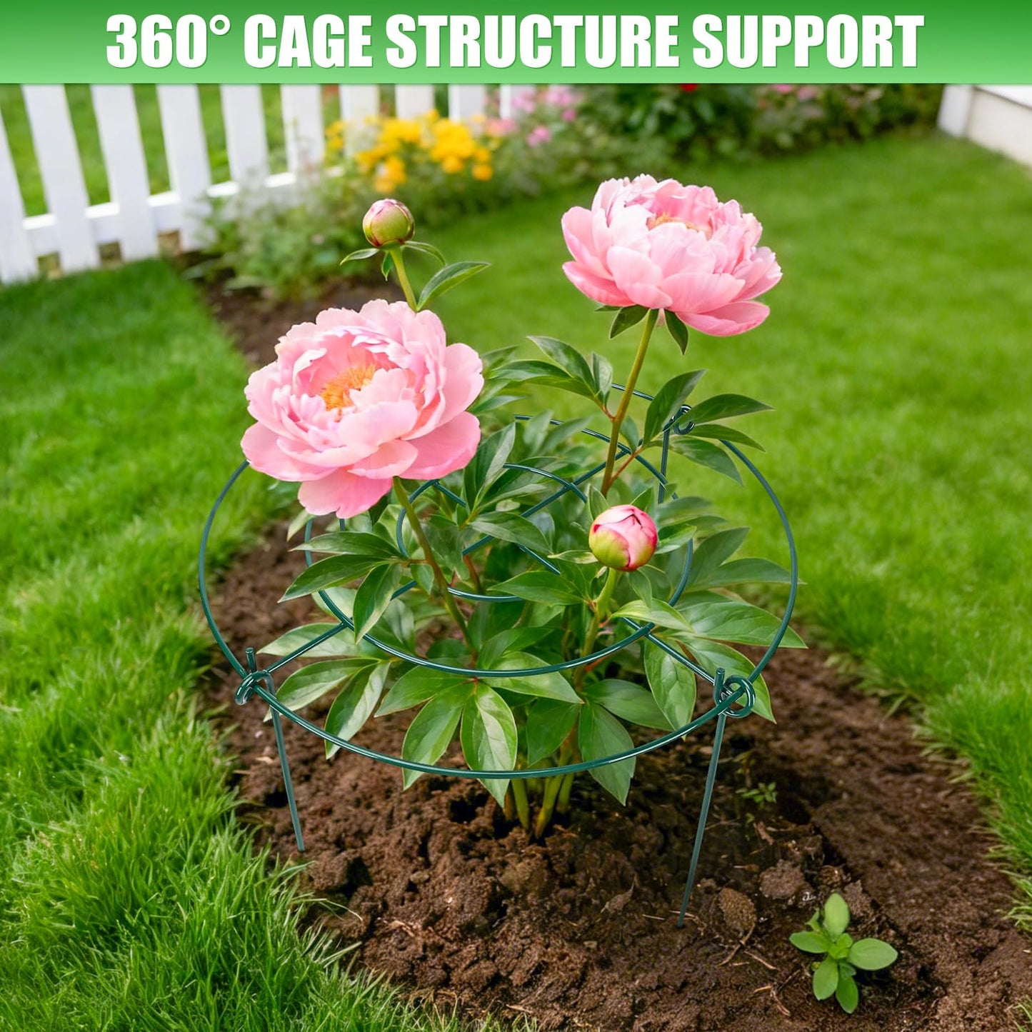Peony Cages and Supports 8 Pack, 11.5 x 20 Inch Heavy Duty Plant Support Cage Set for Peonies, Roses & Tomatoes – Garden Stakes & Plant Cages for Outdoor Plants (8 Pack, 11.5 x 20 Inch)