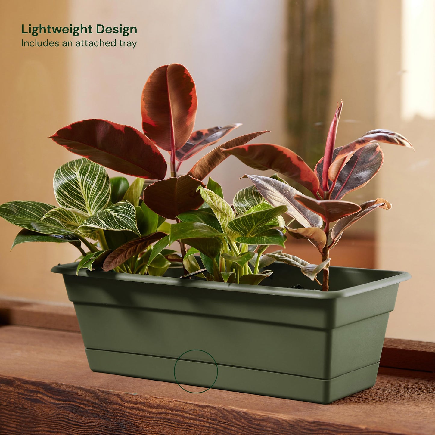 Bloem Dura Cotta Window Box Planter: 18" - Living Green - with Tray, Weatherproof Resin Box, Removable Tray for Indoor & Outdoor Use, Gardening, 2 Gallon Capacity