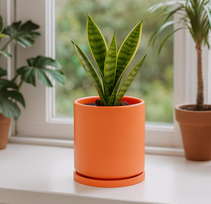 D'vine Dev Double-Layer Self-Draining Planter Set – Rotating Plastic Outer Pot with Clear Inner Liner for Root Health, Perfect for Indoor Plants, 4.5", Set of 2, Pumpkin, 73-V-E-1