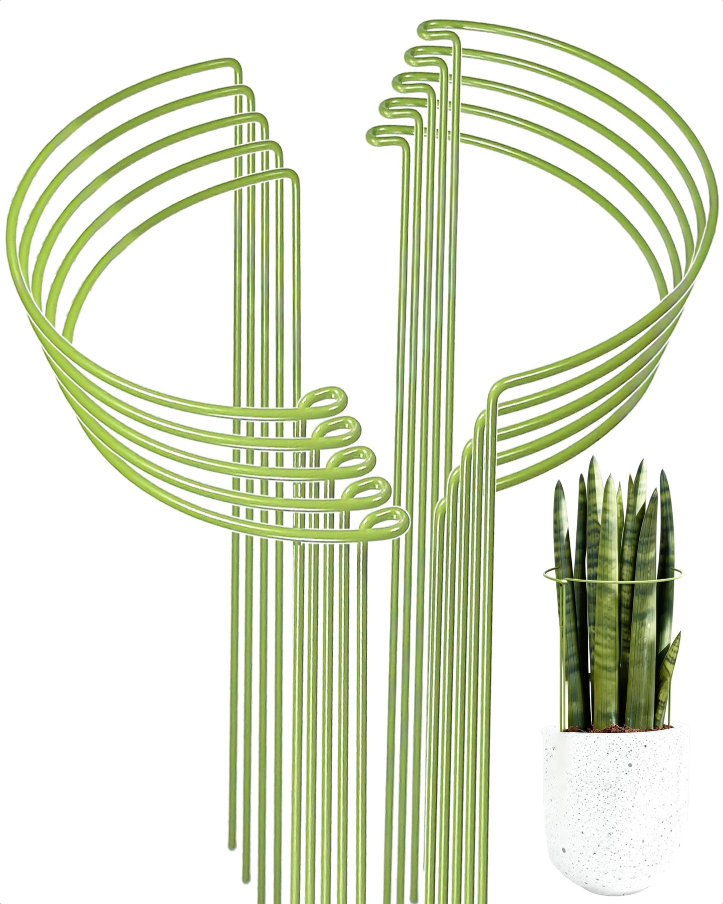 10-Pack Plant Support Stakes, Heavy Duty Steel Plant Stakes as Monstera Plant Support & Peony Cages, Metal Garden Stakes for Indoor Outdoor Plants, Snake Plant & Vine Support, 10" W x 15.8" H