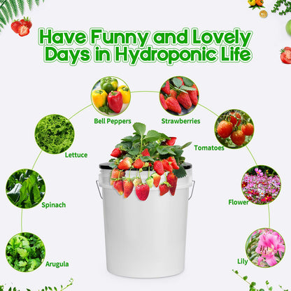 Tectsia Net Pots for Hydroponics 5 Pack, 6 Inch Wide Lip Bucket Basket for Hydroponic Bucket and DWC Bucket System.