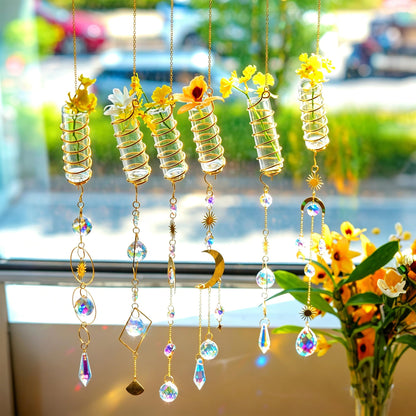 HDCRYSTALGIFTS 6 Pcs Crystal Suncatchers with Plant Propagation Station,Glass Window Wall Planters for Indoor Plants Hydroponics, Hanging Sun Catcher with Chain for Home Garden Whimsical Decor