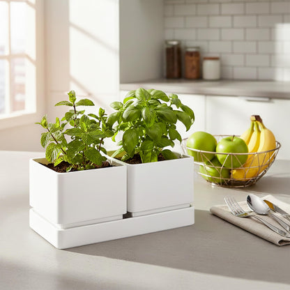 D'vine Dev Indoor Herb Garden Planter Set, Plastic Windowsill Plant Pots with Drainage and Saucer, Indoor Succulent Cactus Vegetable Pot for Balcony, Office, Garden, White, Set of 1, 76-Q-A-1