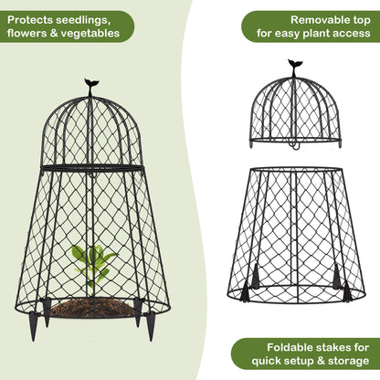 TAOMENNI 6 Packs Garden Cloches for Plants, Plant Protectors from Animals, Chicken Wire Cloche, Plant Cloche and Cage, Protection for Your Plants and Seedlings, 13" D x 20" H - Black