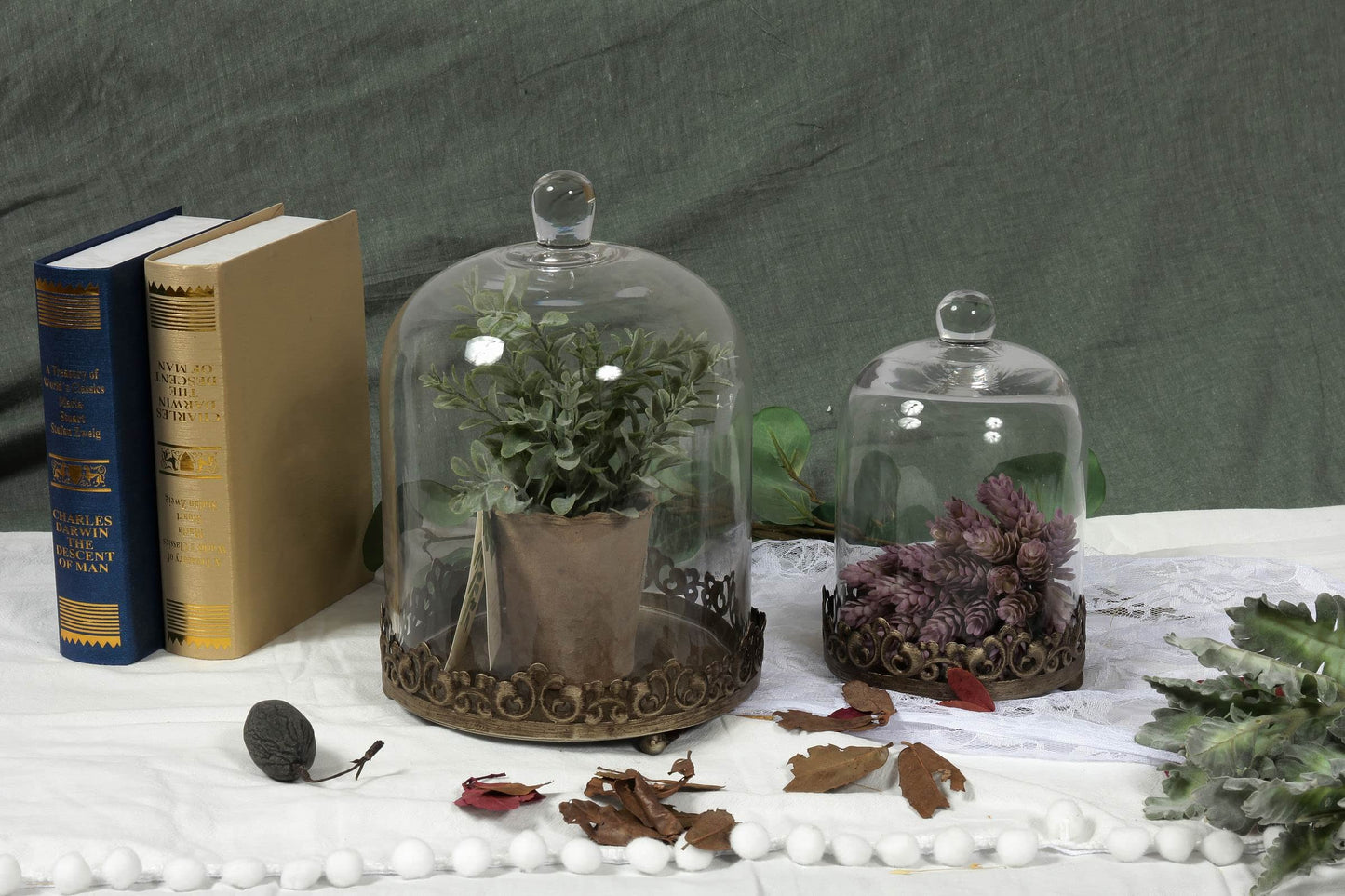 12" Tall Large Sturdy Handmade Glass Cloche Dome with Metal Base 11.4" H x 8" and 8" H x 5.5" in Set of 2 in Gold for Plant, Terrarium, Collectibles, Candle. Cloche Glass Dome, Bell Jar Display Case