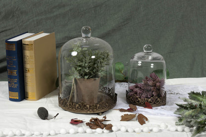 12" Tall Large Sturdy Handmade Glass Cloche Dome with Metal Base 11.4" H x 8" and 8" H x 5.5" in Set of 2 in Gold for Plant, Terrarium, Collectibles, Candle. Cloche Glass Dome, Bell Jar Display Case