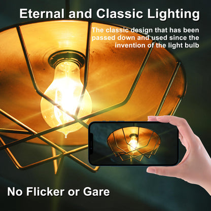 Warm Incandescent Light Bulbs 60 Watt,A19/A60 Vintage Style Edison Bulbs E26,Soft Yellow Light Bulbs,Amber Bulbs,Retro Light Bulb Old Fashioned,Halogen Dimmable Edison Bulb Squirrel Cage 12 Pack