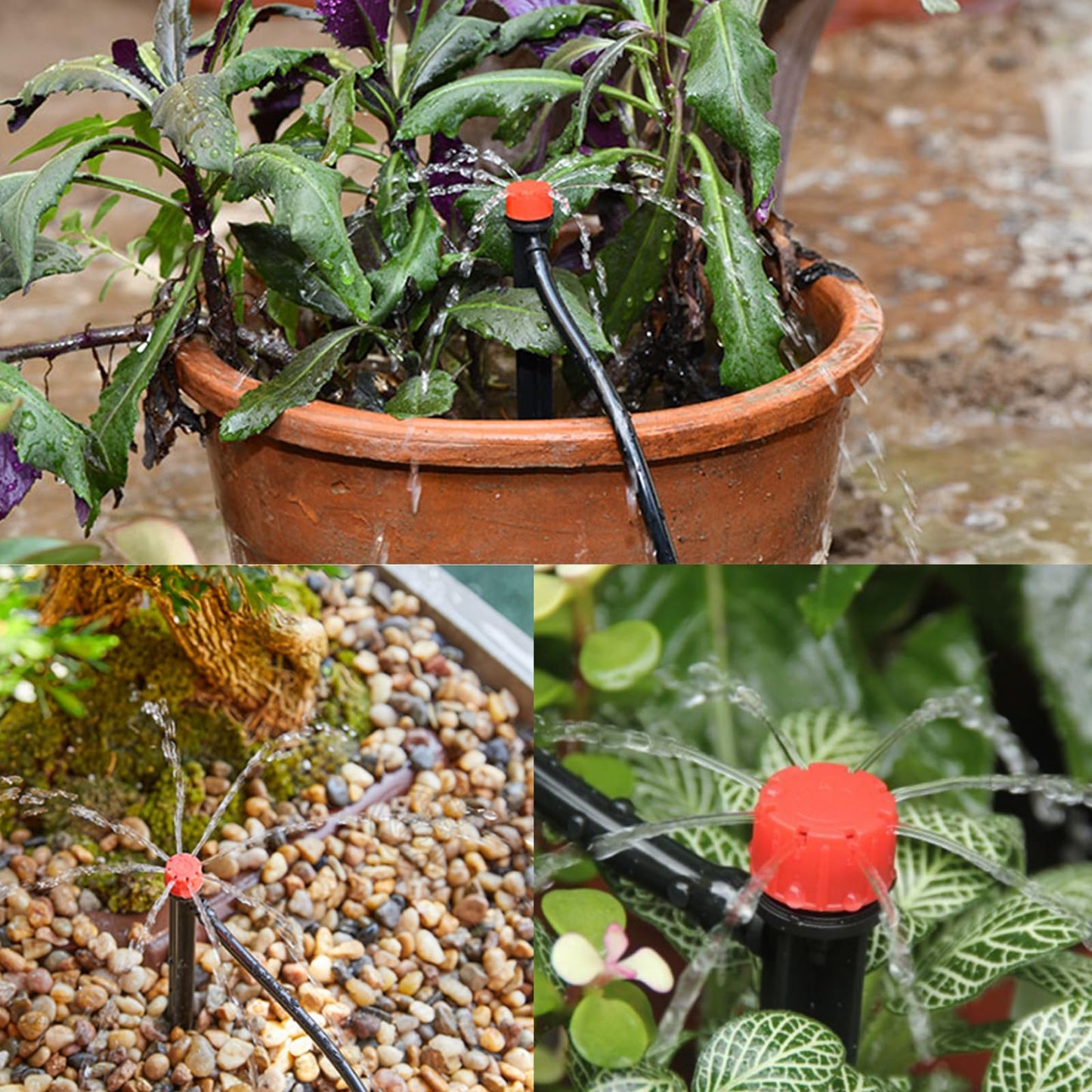 PRUNkuar 50pcs Drip Emitters for 1/4" Drip Irrigation Tubing, Adjustable 360 Degree Water Flow Drippers on 5" Arrow Stake, Garden Irrigation Drippers for (4-7mm) Watering System