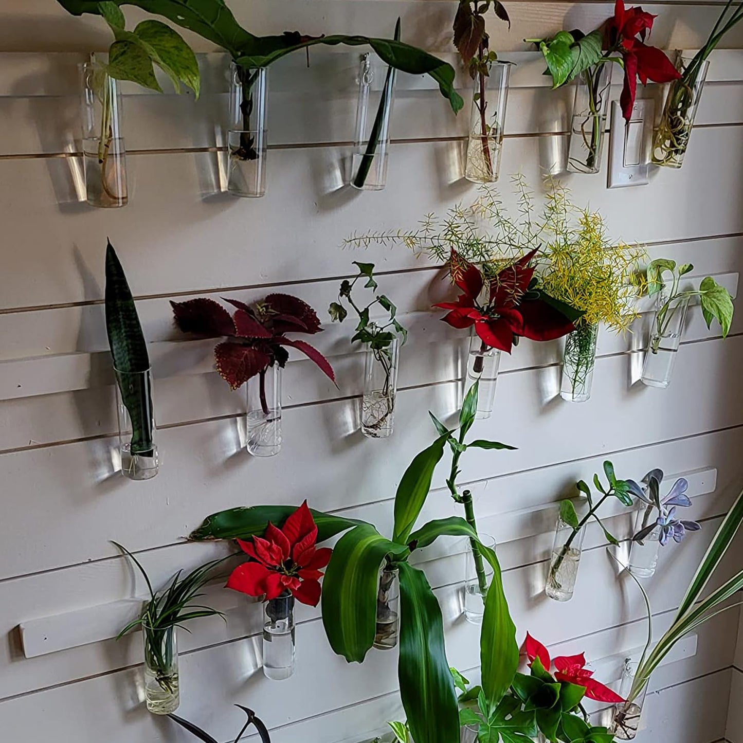 JEUIHAU 8 PCS 5.9 in x 1.85 in Glass Wall Mounted Planters, Wall Glass Tube Plant Holder, Clear Flower Vases Hanging, Propagation Containers for Hydroponics Plants, Garden Decor