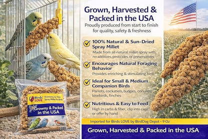 Farm to Feathers™ Bird Economy Millet & Cuttlebone Bundle – USA Grown Millet Sprays for Parakeets, Budgies, Cockatiels, Finches & Canaries – 9oz (Pack of 1) + 4” Cuttlebone (4 Pack)