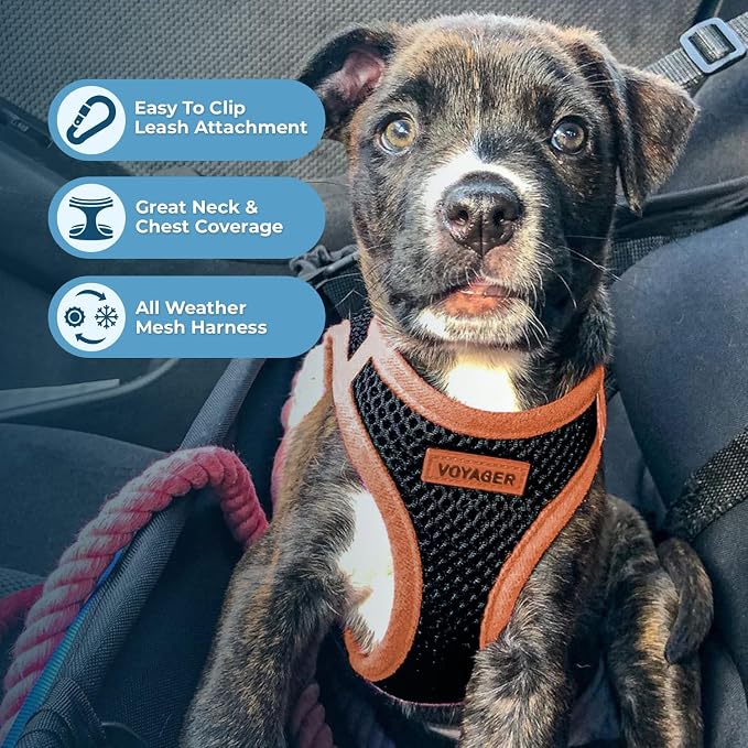 Best Pet Supplies Voyager Step-in Air All Weather Mesh Harness and Reflective Dog 5ft Leash Combo with Neoprene Handle, for Small, Medium and Large Breed Puppies - Set (Black/Orange Trim), X-Small