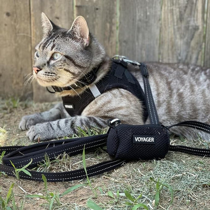 Best Pet Supplies Voyager Step-in Air All Weather Mesh Harness and Reflective Dog 5ft Leash Combo with Neoprene Handle, for Small, Medium and Large Breed Puppies - Black, X-Small
