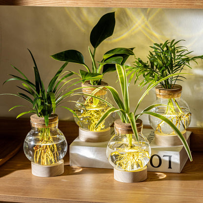 Propagation Stations, Plant Propagation Station with Light Base, Glass Propagation Vases, Hydroponic Vase for Plants, Glass Terrarium for Home Office Windowsill Tabletop Decoration (5)