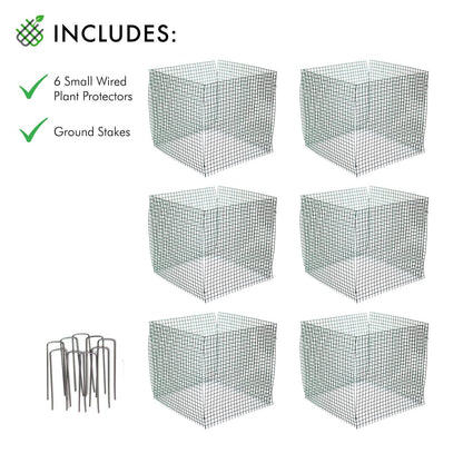 6 New Small Wire Plant Protectors, 12" Square, 12" high (Vinyl Coated Rust Resistant Wire)