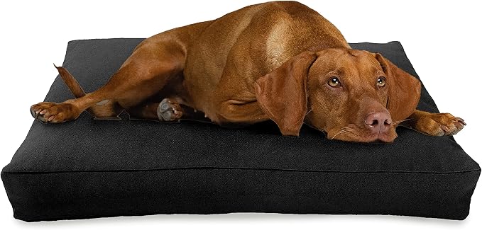 XX-Large - 54 x 36 x 6 - Black Premium Organic Hemp Dog Bed - CertiPUR Fill - Removeable Cover
