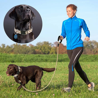 Ladoogo Reflective Dog Collar Padded with Soft Neoprene Breathable Adjustable Nylon Dog Collars for Small Medium Large Dogs (Small (Pack of 1), Vanilla Plaid Collar+Leash)