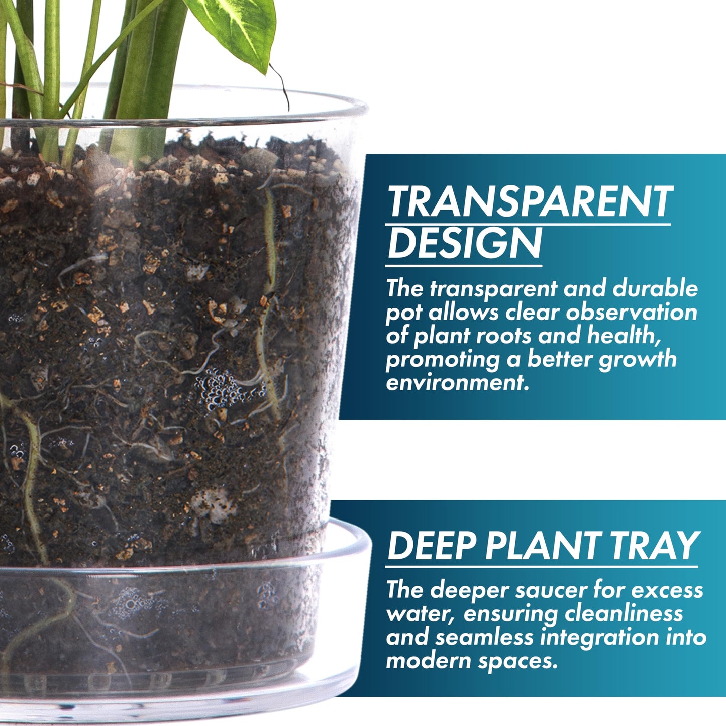 Phoenix Vine 8 Inch 10 Inch Clear Acrylic Houseplants Planter Pot with Tray, Orchid Pot with Drainage Holes, Deep Saucer for Bottom Watering, Transparent Containers for Indoor Plants, Herbs, 91-B-Y