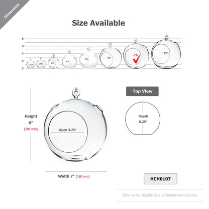 WGVI WGV Hanging Terrarium Globe, Width 7", Height 8", DIY Air Succulent Planter, Clear Glass Vase Orb with Flat Bottom, Candle Holder for Windowsill Outdoor Garden Decor, 1 Piece