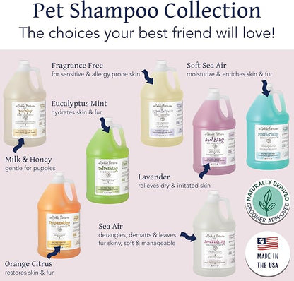 Bobbi Panter Nourishing Dog Conditioner Safflower Oil, Keratin, Shea Butter & Aloe Vera – Detangling Natural Formula for Soft, Smooth & Manageable Coat, 10:1 Concentrate, 1 Gallon (Case of 4)