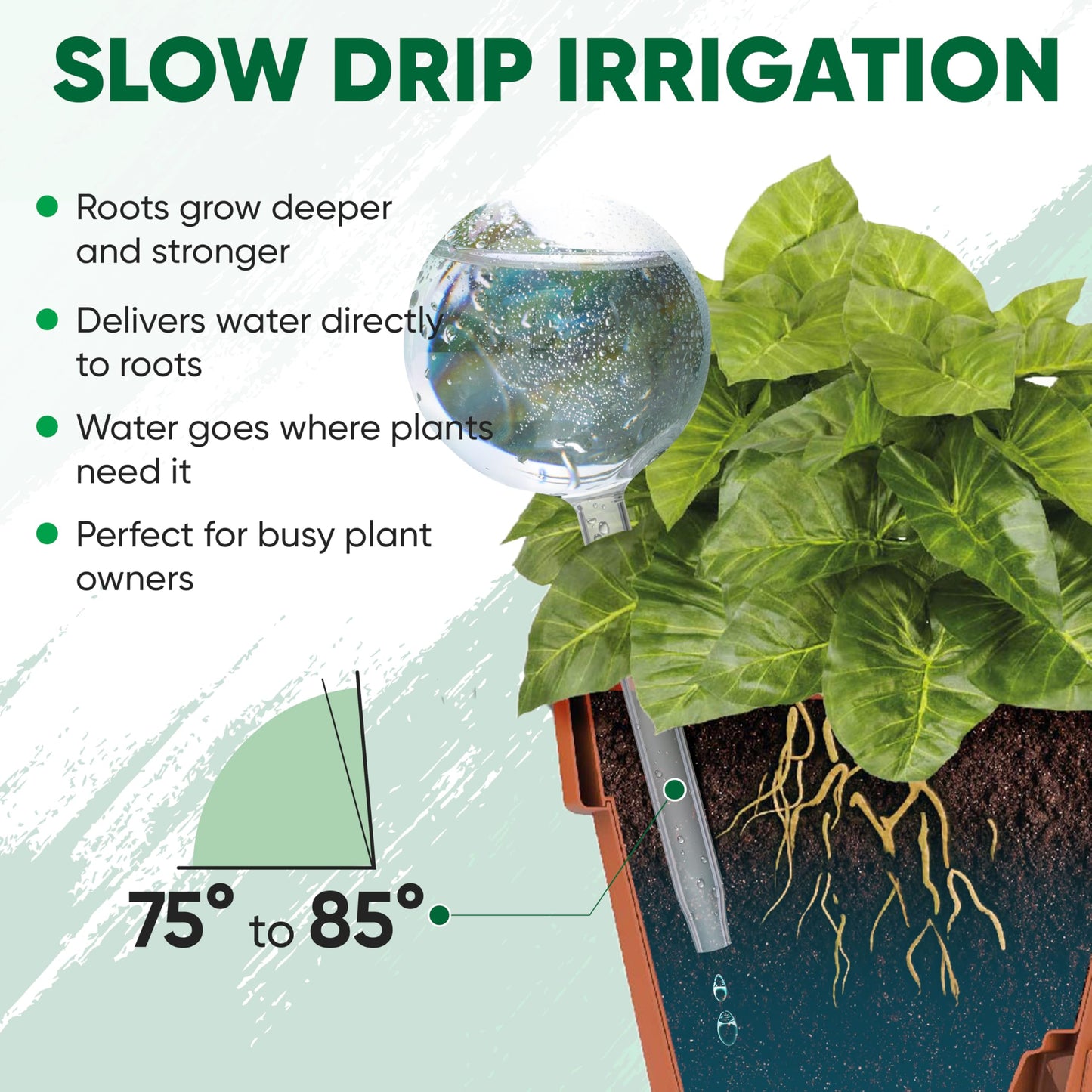 Mission Gallery Clear Plant Watering Globes Set of 2 - Small Self Watering Globes for Indoor & Outdoor Plants - Automatic Glass Watering Bulbs for Daily Use, Plant Watering Devices