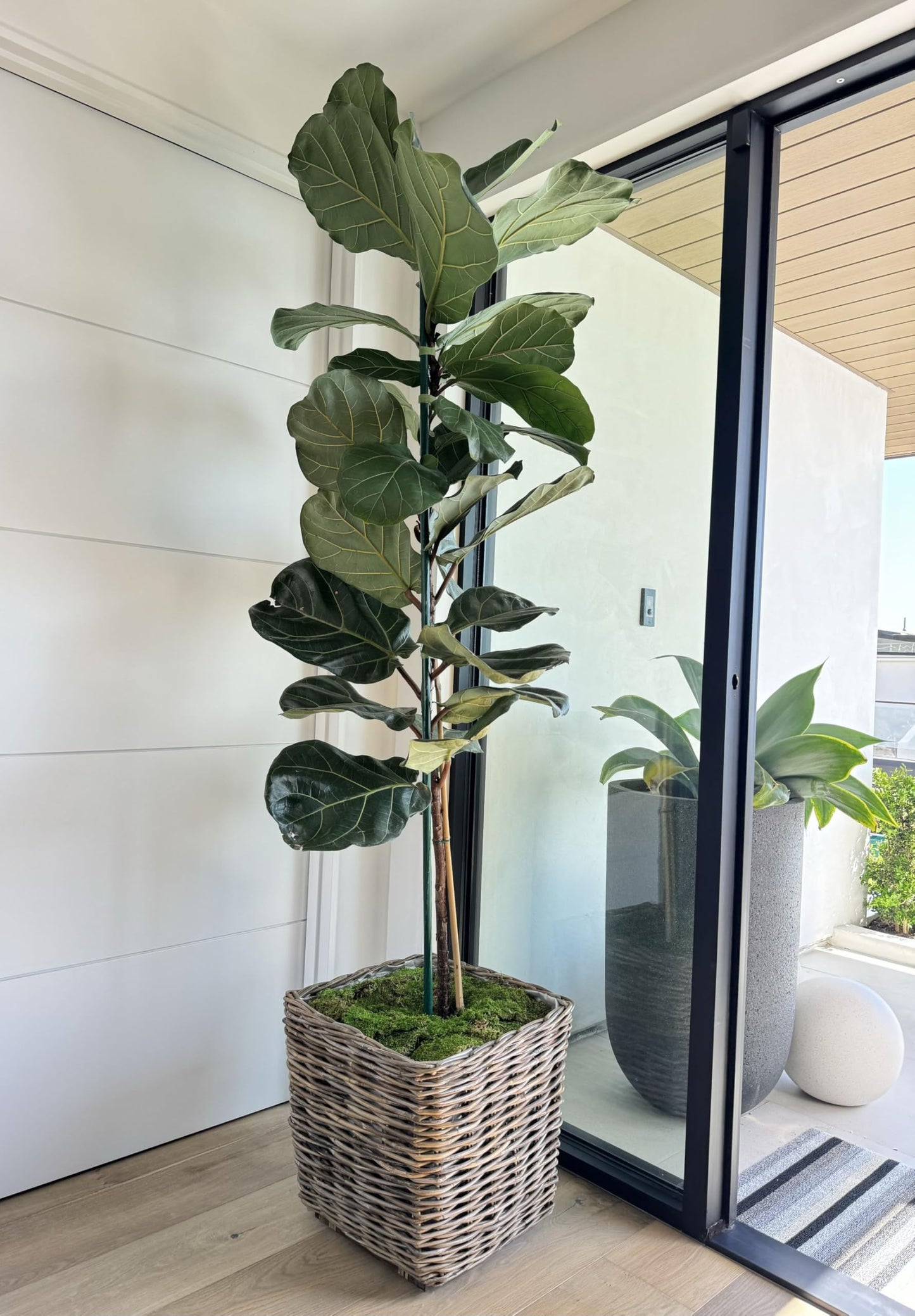 Kouboo Planter Woven Rattan Indoor Outdoor with Drainage Holes Tall Cute Pots Square for Olive Tree Large