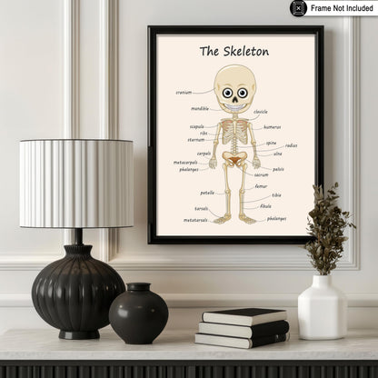 Poster Master The Skeleton Poster - Human Skeleton Print - Learning Materials Art - Science Art - Gift for Students & Teacher - Fun Decor for Classroom, Library or Nursery - 8x10 UNFRAMED Wall Art