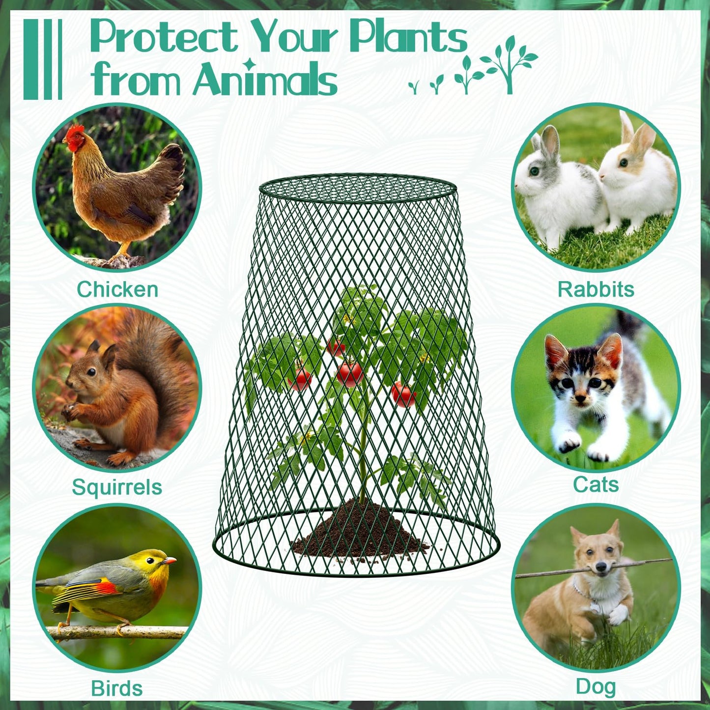 5 Packs 12"x15" Garden Cloches for Plants, Plant Protectors from Animals,Plant Cages for Outdoor Plants,Plant Covers from Animals,Chicken Wire Cloche with Stakes & Labels for Protect Plants,Vegetables