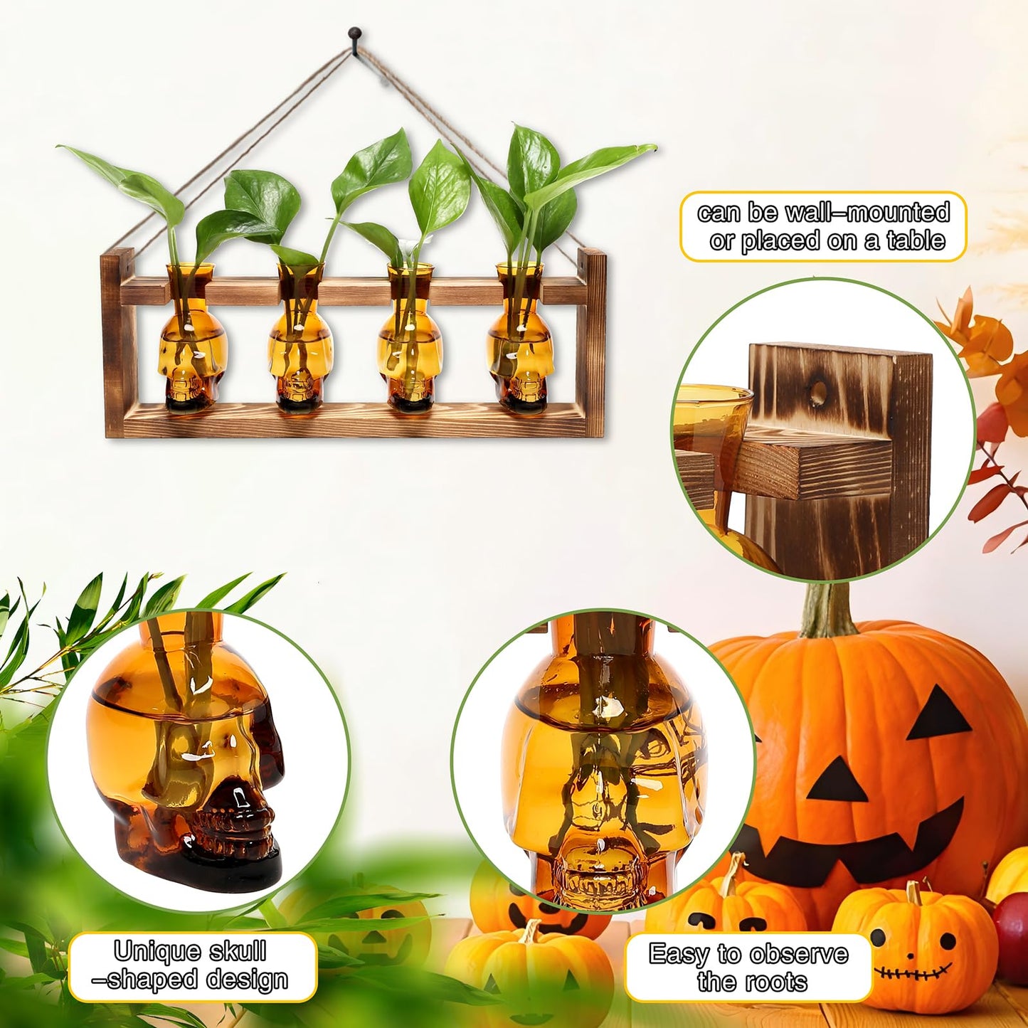 CYZglass Plant Propagation Stations Halloween Skull Plant Terrarium Kit Glass Vases Gift for Father Air Planter Home Office Decor