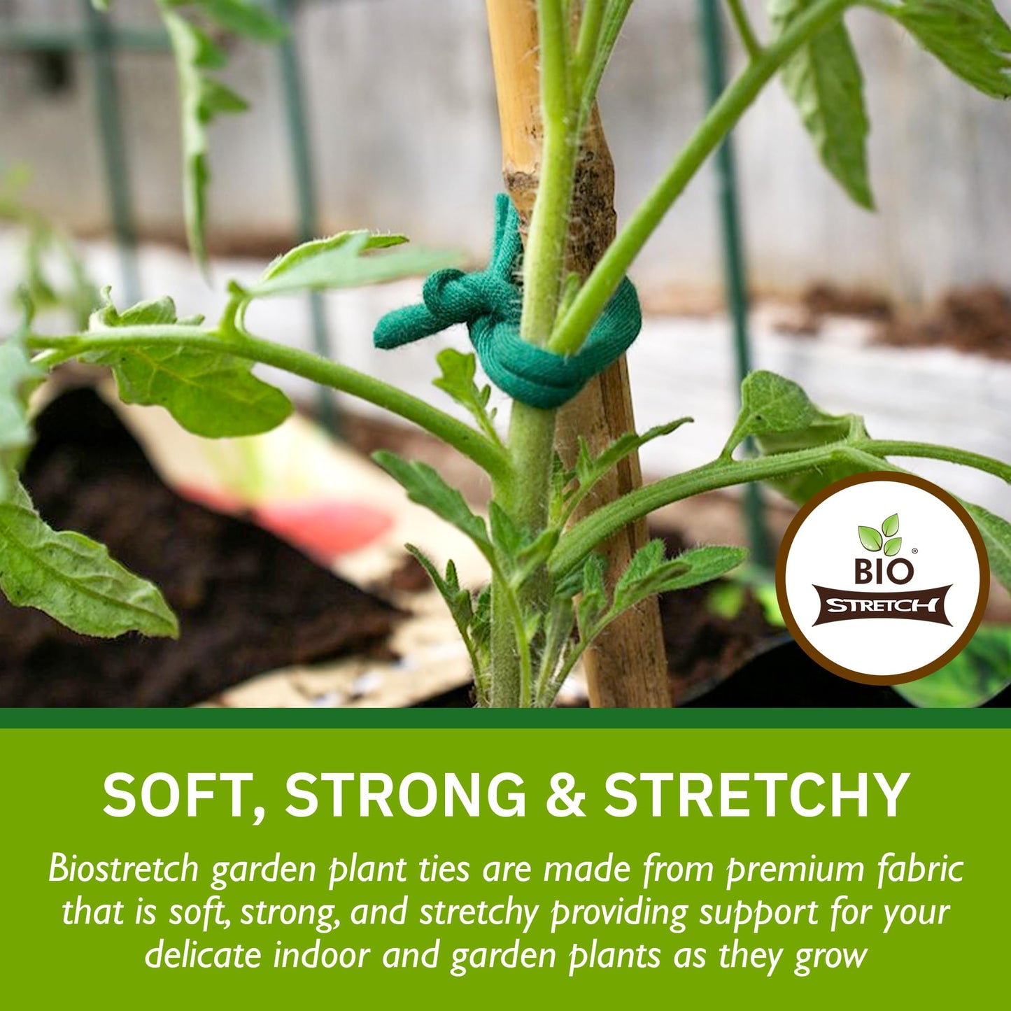 Bio-Stretch Soft Garden Plant Ties for Indoor & Outdoor Plants - Strong & Stretchy Cut-to-Length Plant Tape for Climbing Plants, Tomato Vines & Home Gardening (65 ft / 20M)