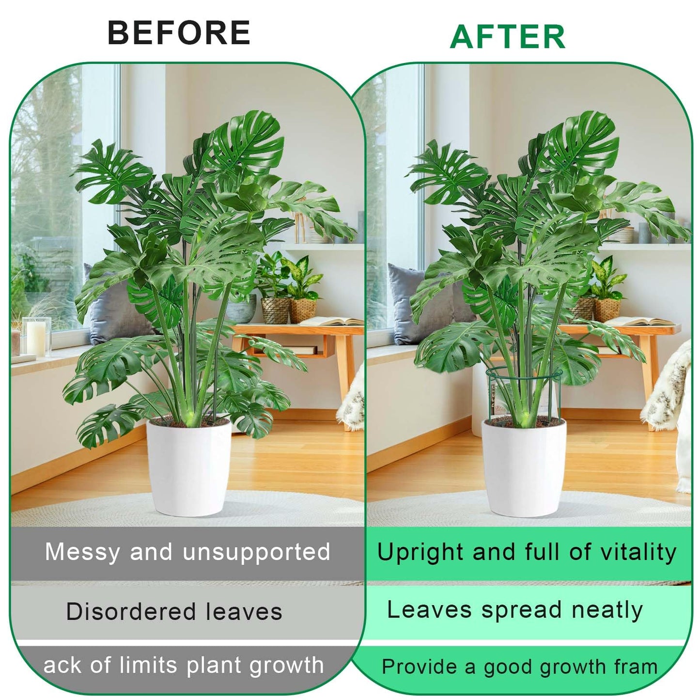 HiGift 3 Pack Peony Cages Support Stakes Ring for Garden, Round Plant Support for Outdoor (10" W x 17" H), Indoor Plant Cages Hoops Plant Rings for Tomatoes,Rose,Astilbes,Vine Indoor Potted Plants